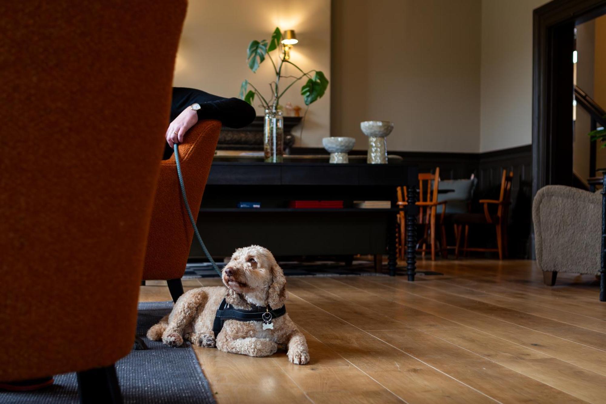 New Park Manor Hotel - A Luxury Family Hotel ブロッケンハースト エクステリア 写真